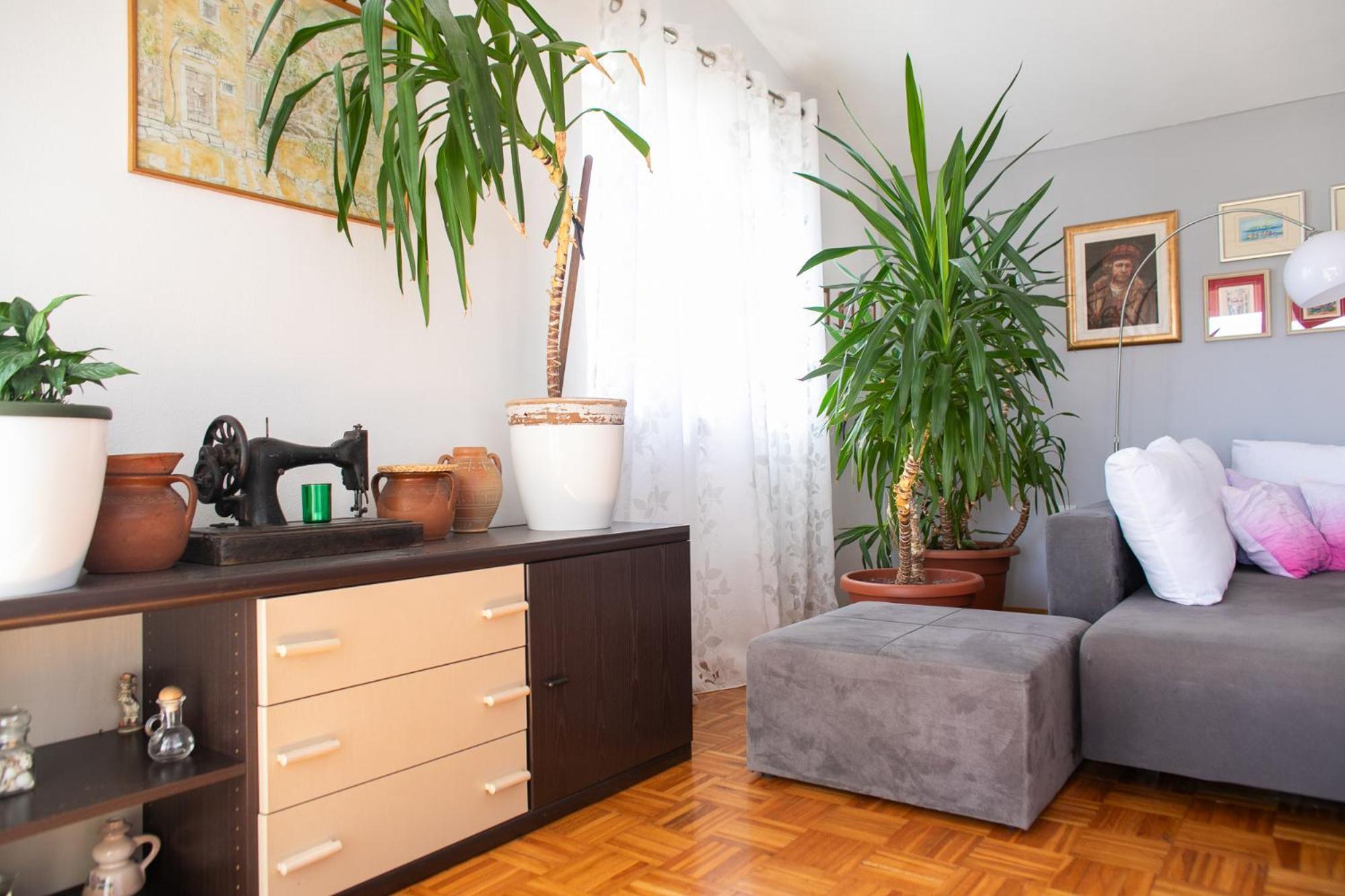 Apartman Tonko Novigrad  Exterior foto