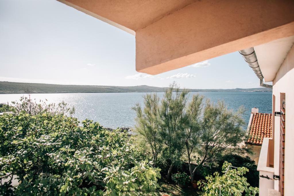 Apartman Tonko Novigrad  Exterior foto